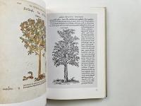 The treasury of flowers (花の宝庫)