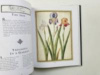 So many sweet flowers : a seventeenth-century florilegium (たくさんの甘い花：17世紀の傑作集)