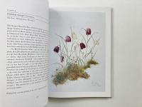 Flower artists of Kew : botanical paintings by contemporary artists (キューガーデンのフラワーアーティスト：現代アーティストによる植物画)