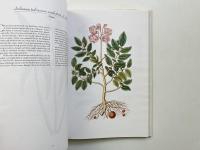 A treasury of flowers : rare illustrations from the collection of the New York Botanical Garden (花の至宝：ニューヨーク植物園コレクションの貴重なイラスト集)