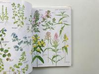The Wild Flowers of the British Isles (イギリス諸島の野生の花)