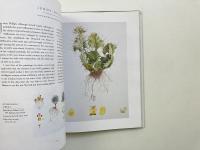 Contemporary botanical artists : the Shirley Sherwood collection (現代の植物画家：シャーリー・シャーウッド・コレクション)