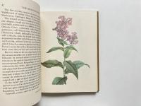 Botany : a study of pure curiosity (植物学：純粋な好奇心の研究)