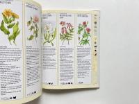 Wildflowers: How to Identify Flowers in the Wild and How to Grow Them in Your Garden (野生の花：野生の花の見分け方と庭での育て方)