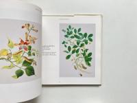 Picturing plants : an analytical history of botanical illustration (植物を描く：植物図解の分析的歴史)