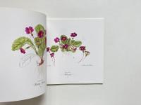 The Book of Primroses (プリムローズの本)