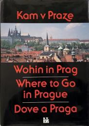 Kam v Praze a okoli =: Wohin in Prag und Umgebung = Where to go in and around Prague = Dove a Praga e nelle sue vicinanze (プラハとその周辺ガイド)