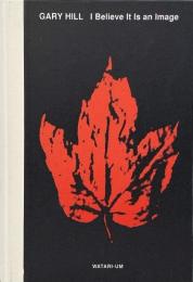 ゲイリー・ヒル : I believe it is an image