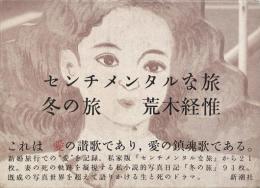 センチメンタルな旅・冬の旅