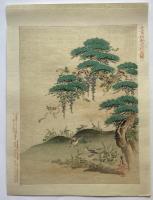 十二月狩野常信画譜　12枚入