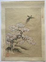 十二月狩野常信画譜　12枚入