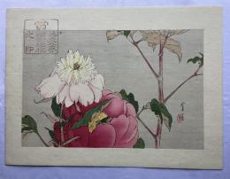 渡辺省亭　花鳥画