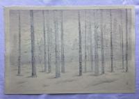 伊藤孝之　山中の富士