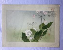 渡辺省亭　花鳥画