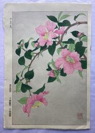 河原崎奨堂　山茶花