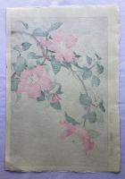 河原崎奨堂　山茶花