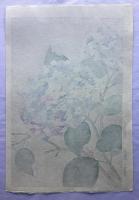 河原崎奨堂　紫陽花