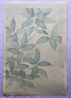 河原崎奨堂　もくせい