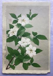 河原崎奨堂　くちなし