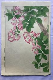 河原崎奨堂　さるすべり