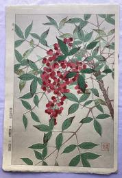 河原崎奨堂  南天