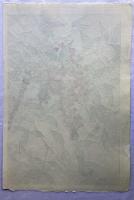 河原崎奨堂  南天