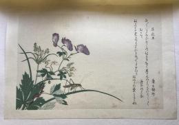 歌磨呂　虫撰　馬追虫とむかで