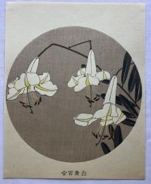 若沖　白黄百合