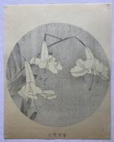 若沖　白黄百合