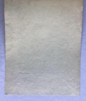 深水正策　ピノッキオ