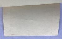 深水正策　真夏の夜の夢