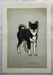 吉田遠志　紋次郎