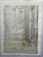 吉田遠志　神の森