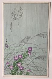高橋春佳　美術絵葉書