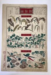 第三博物図　文部省　明治６年