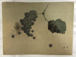 渡辺省亭　木版画