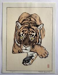 吉田　遠志　Ｔiger