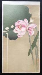 小原古邨　蓮に雀　復刻版