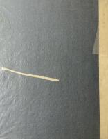 サーカス　三島由紀夫 武井武雄