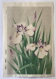 河原崎奨堂　菖蒲