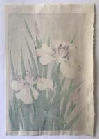 河原崎奨堂　菖蒲