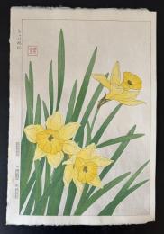 河原崎奨堂　ラッパ水仙