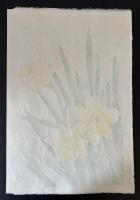 河原崎奨堂　ラッパ水仙