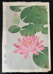 河原崎奨堂　水蓮　