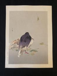 鳩　木版画　Woodblock print