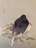 鳩　木版画　Woodblock print