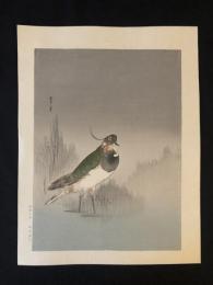 木版画　woodblock print