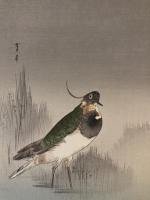 木版画　woodblock print