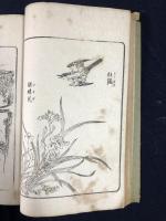 高尚堂画譜　花鳥図式　全
