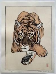 吉田遠志　Tiger